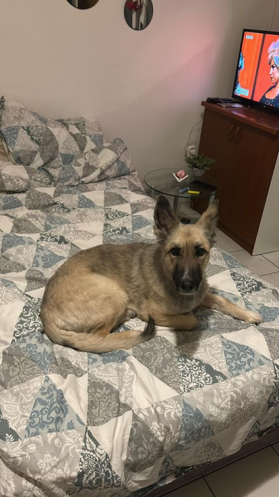 Provjerite tko su naj ljubimci 2024. godine!