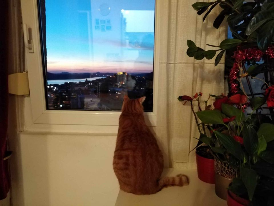 Provjerite tko su naj ljubimci 2024. godine!