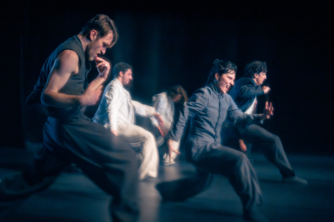 Grad postaje pozornica: Krenula je prodaja ulaznica za 13. Šibenik Dance Festival