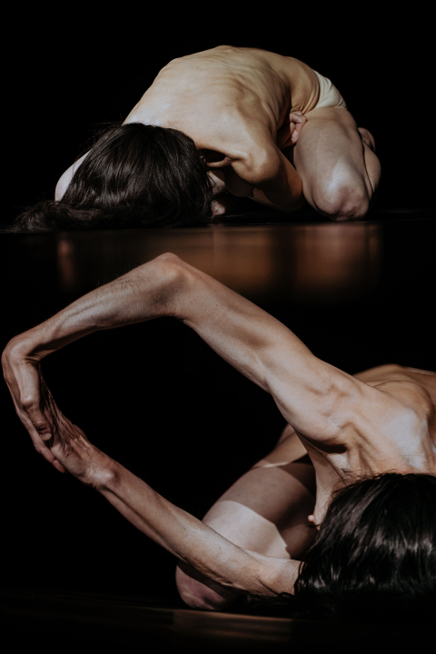 Anatomija zagrljaja i preispitivanje percepcije vlastitog tijela na tvrđavi Barone