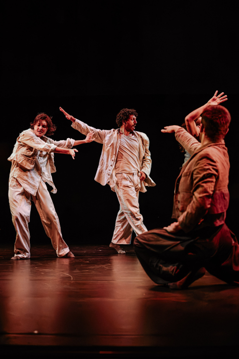 PUPO na sv. Mihovilu: Priča inspirirana Pinocchijom u plesnom remek-djelu talijanskih umjetnika