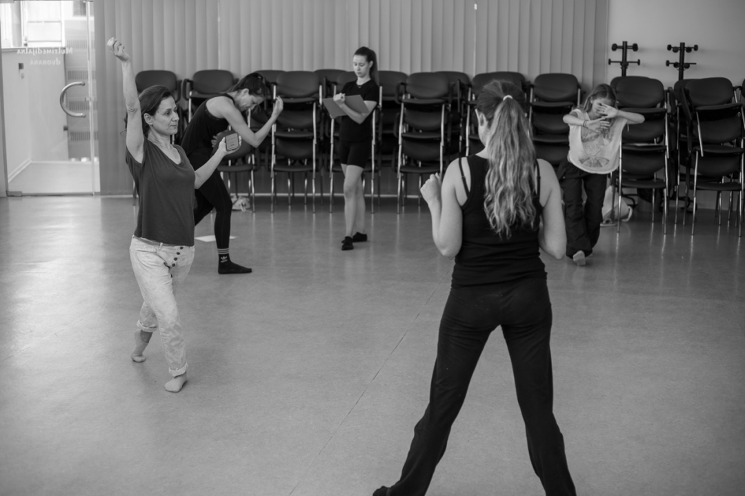 Izvedba ispunjena snažnim emocijama dotaknula je publiku i zaokružila 13. izdanje Šibenik Dance Festivala 