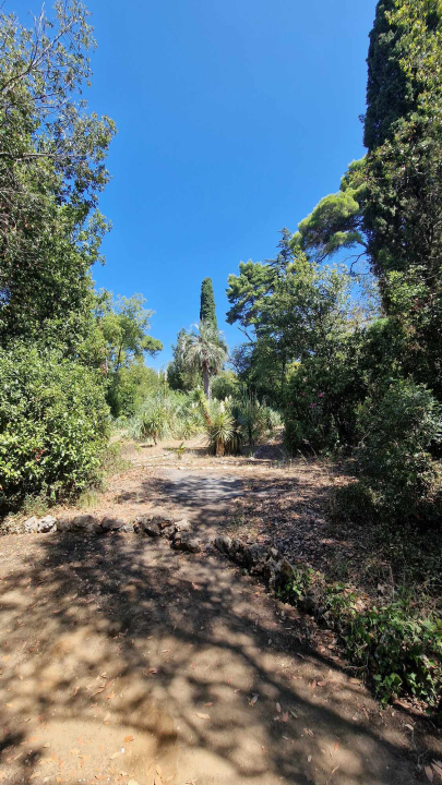 Morska avantura  ŠibenikIN-a: Tjedan dana jedrenja do Dubrovnika, prekrasnih otoka i vala uz nezaboravnu igru dupina