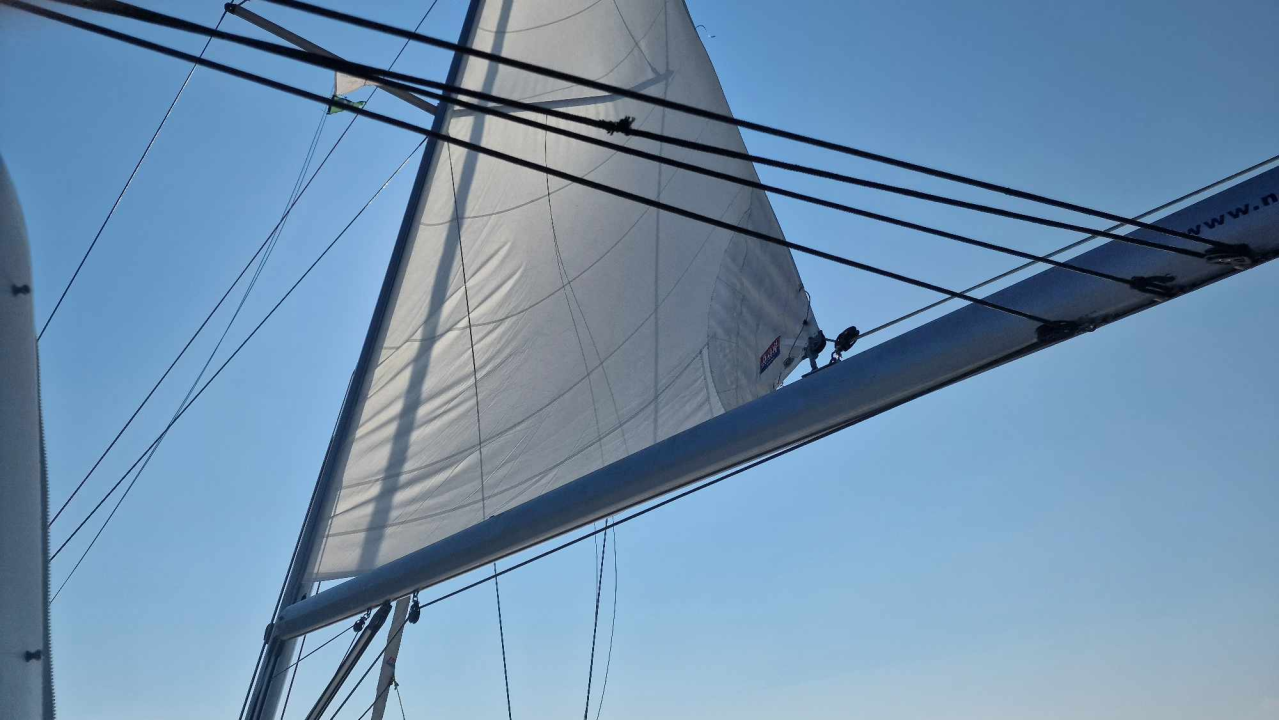 Morska avantura  ŠibenikIN-a: Tjedan dana jedrenja do Dubrovnika, prekrasnih otoka i vala uz nezaboravnu igru dupina