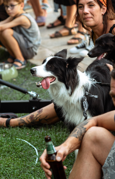 Šibenske šape rođendan proslavile izložbom pasa, tombolom i kvizom