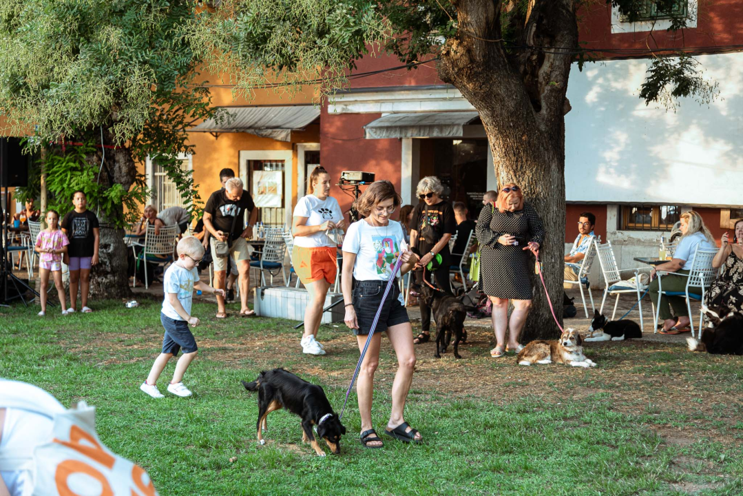 Šibenske šape rođendan proslavile izložbom pasa, tombolom i kvizom