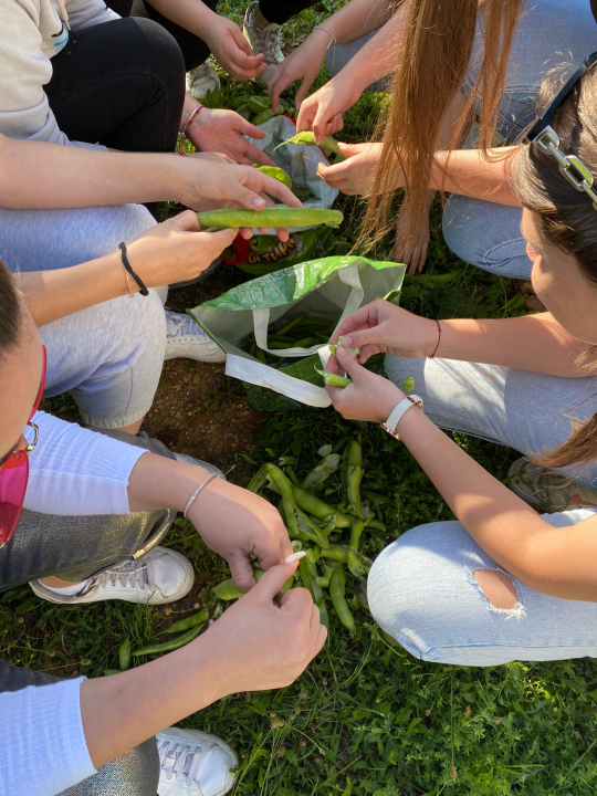 Kninski srednjoškolci u školskom vrtu uzgajaju povrće od kojeg prave namaze