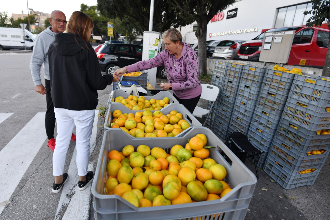 Mandarine iz Rogotina prodaju se na Vidicima: Samo jedna pokriva 43 posto potrebe za vitaminom C 