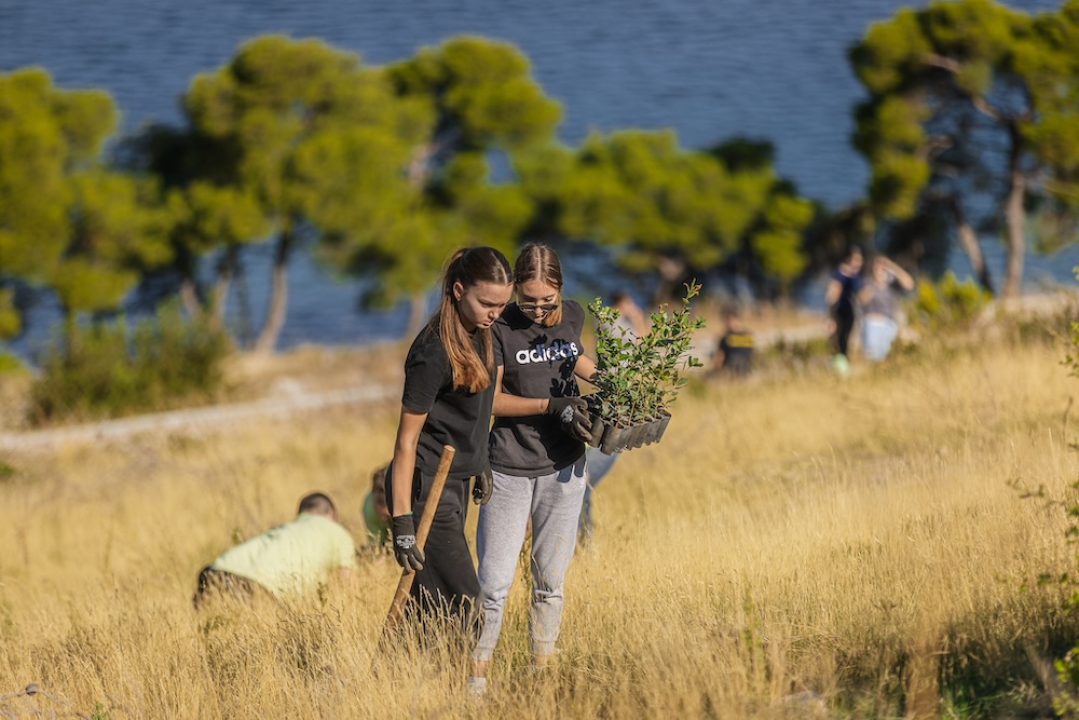 Stotine volontera pošumljavalo požarište u Grebaštici