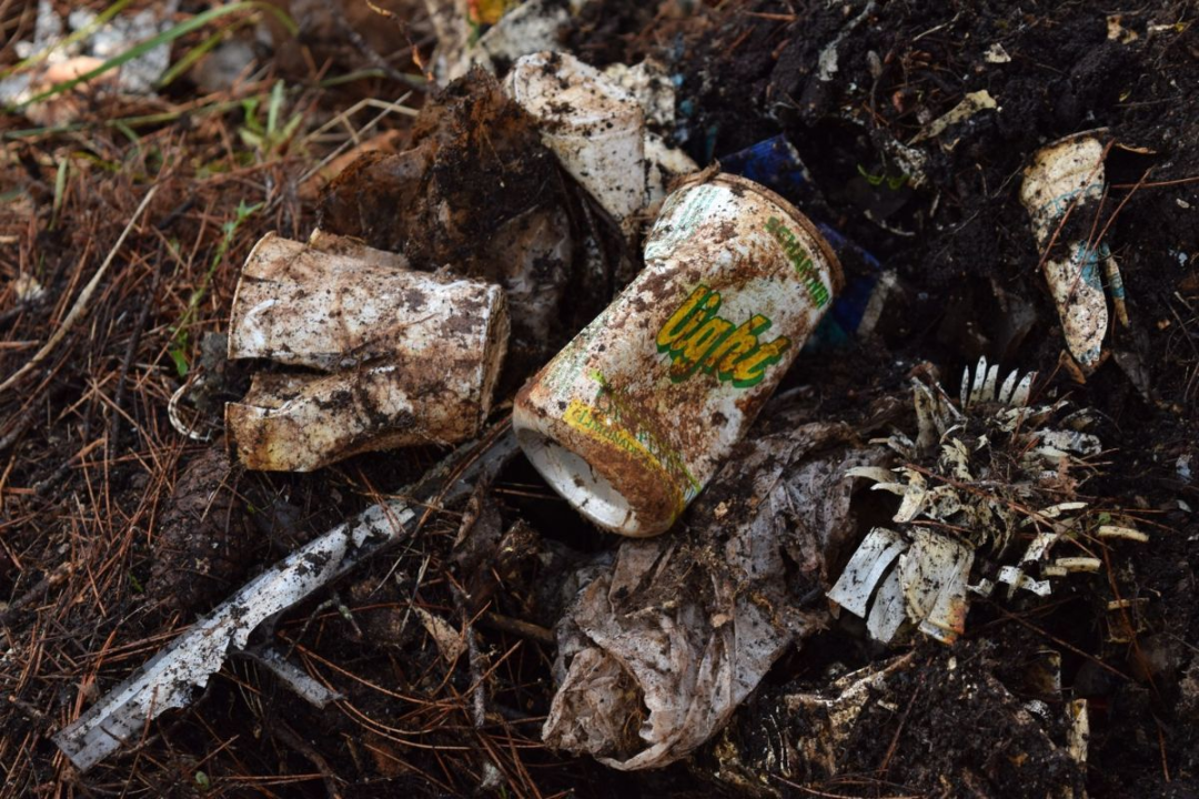 Zelena čistka: NP Krka svojim primjerom produbljuje svijest o važnosti očuvanja okoliša i prirodnog bogatstva