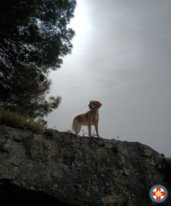 Ivan i Jenny iz HGSS-a Šibenik novi su K9 potražni tim