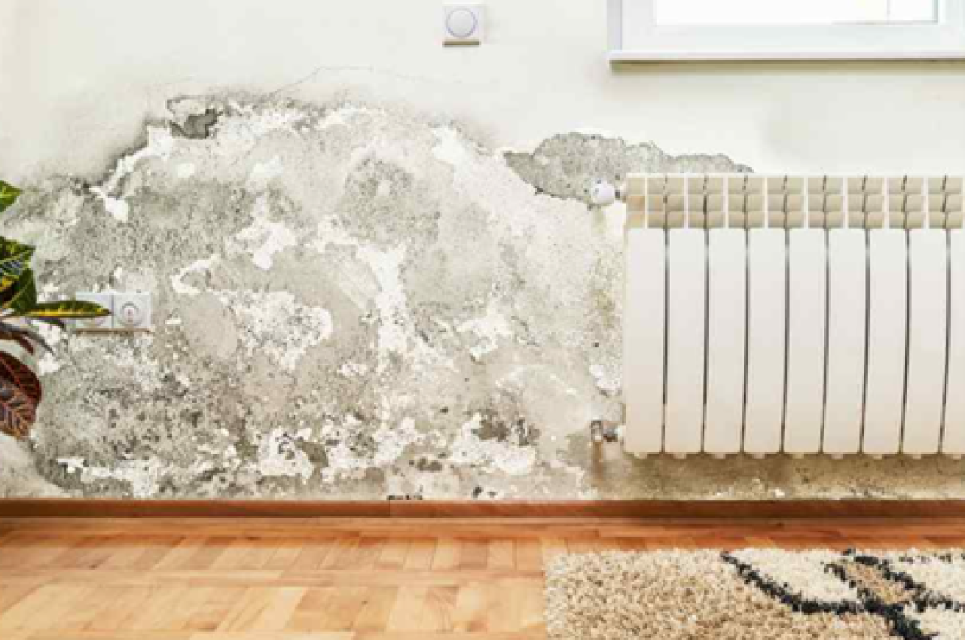 Neka vaš dom zamiriši po kolačima, a ne vlazi i plijesni! 