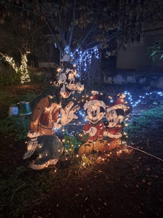 Božićni vrt obitelji Vlahov oduševljava: Blista s 27 tisuća lampica