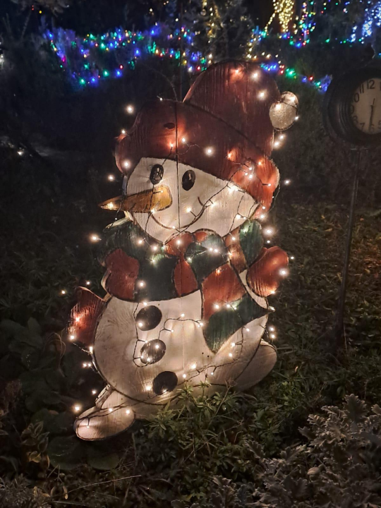 Božićni vrt obitelji Vlahov oduševljava: Blista s 27 tisuća lampica