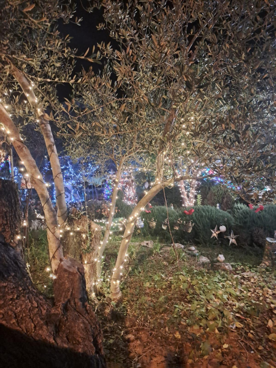 Božićni vrt obitelji Vlahov oduševljava: Blista s 27 tisuća lampica