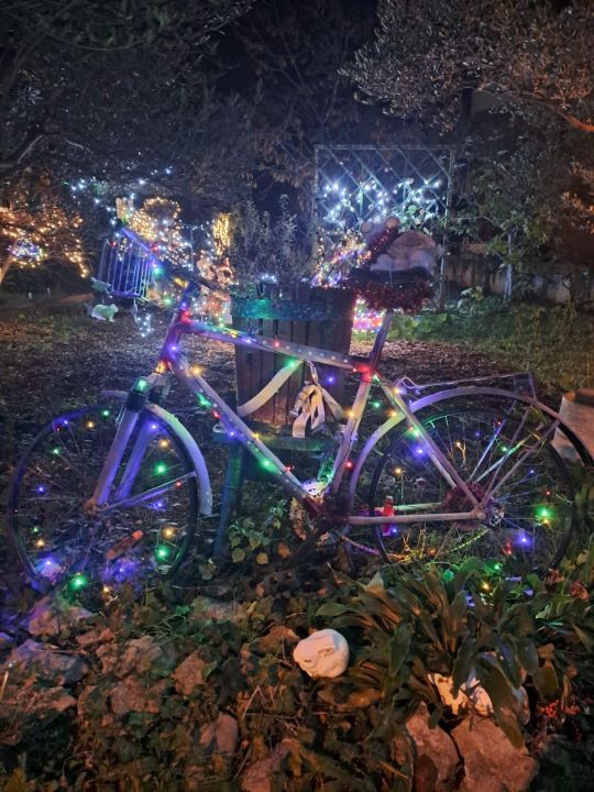 Božićni vrt obitelji Vlahov oduševljava: Blista s 27 tisuća lampica