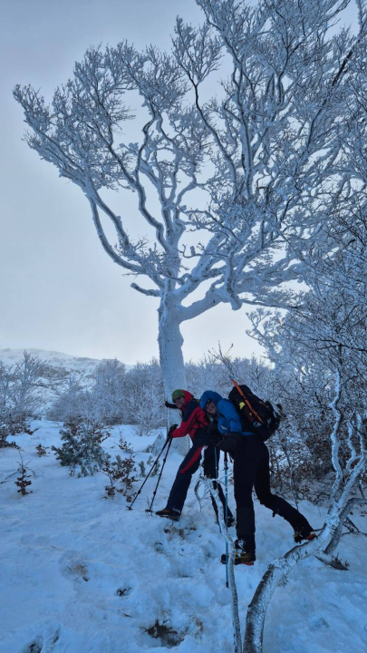 Mihovilovci i ove godine organizirali uspon na Dinaru za sv. Stjepana