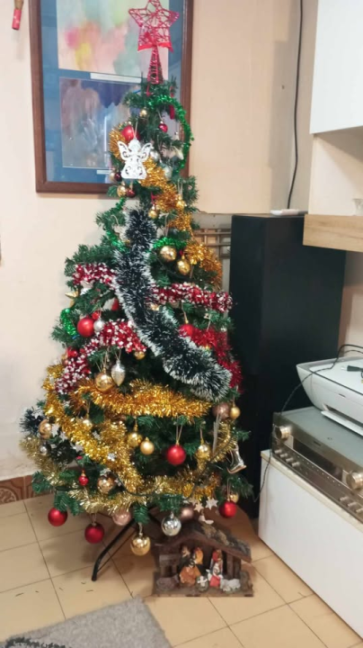 Provjerite tko su pobjednici izbora za naj jelku!