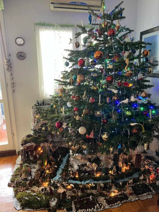 Provjerite tko su pobjednici izbora za naj jelku!