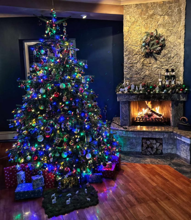 Provjerite tko su pobjednici izbora za naj jelku!