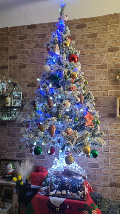 Provjerite tko su pobjednici izbora za naj jelku!