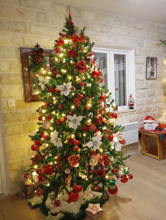 Provjerite tko su pobjednici izbora za naj jelku!