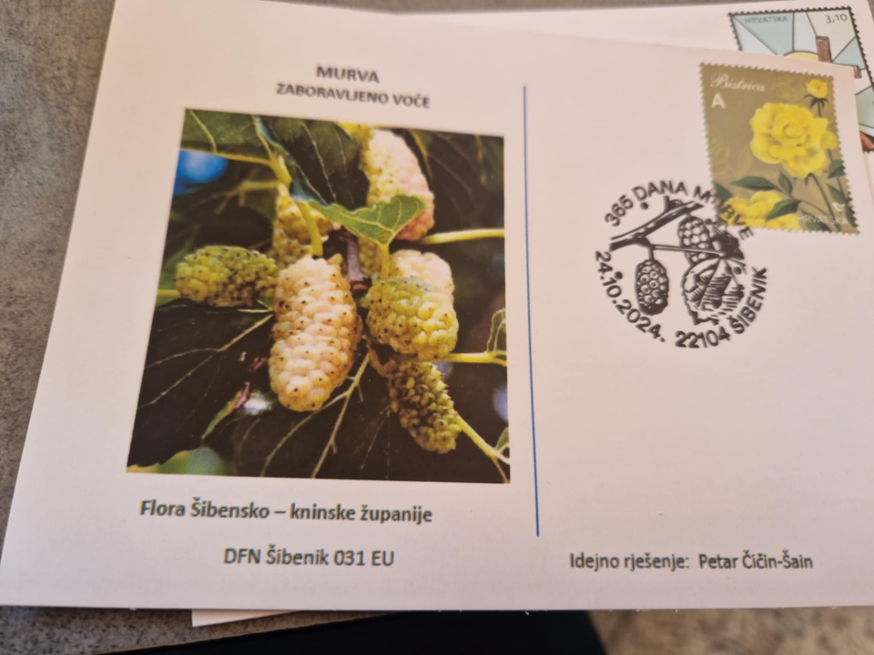 Nekad su se dopisnicama raketirali Prvić i Lozovac, a danas pismo od pošte na pijaci do Triglavske ulice putuje sedam dana