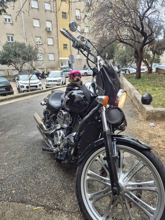 Bajkerica Rea šibenska je atrakcija