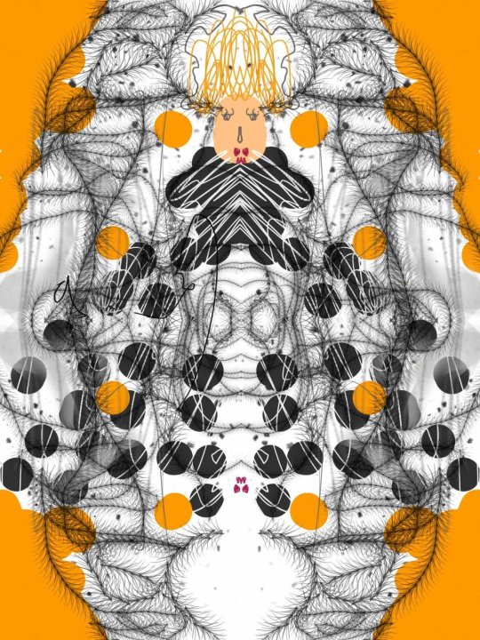 Bartol Juraga ima tek sedam godina i uskoro otvara izložbu