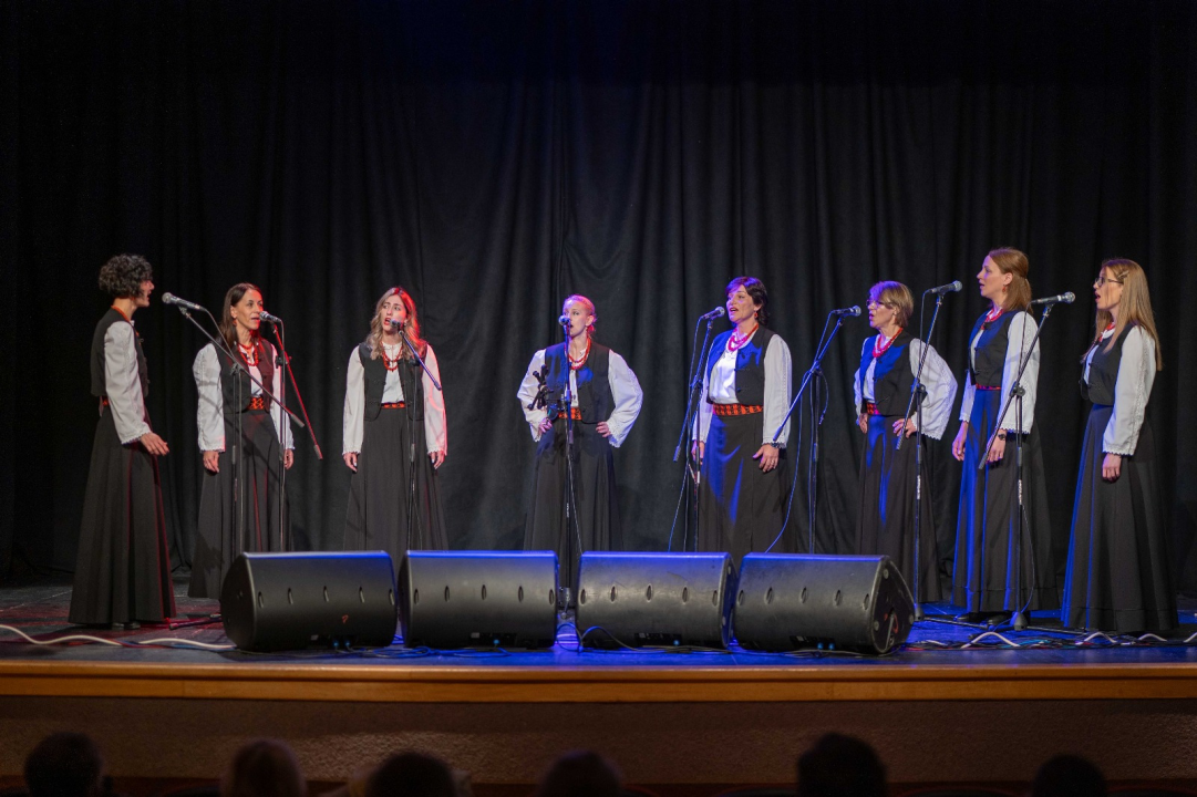 Humanitarni koncert u Vodicama: Klape zapjevale za malu Petru