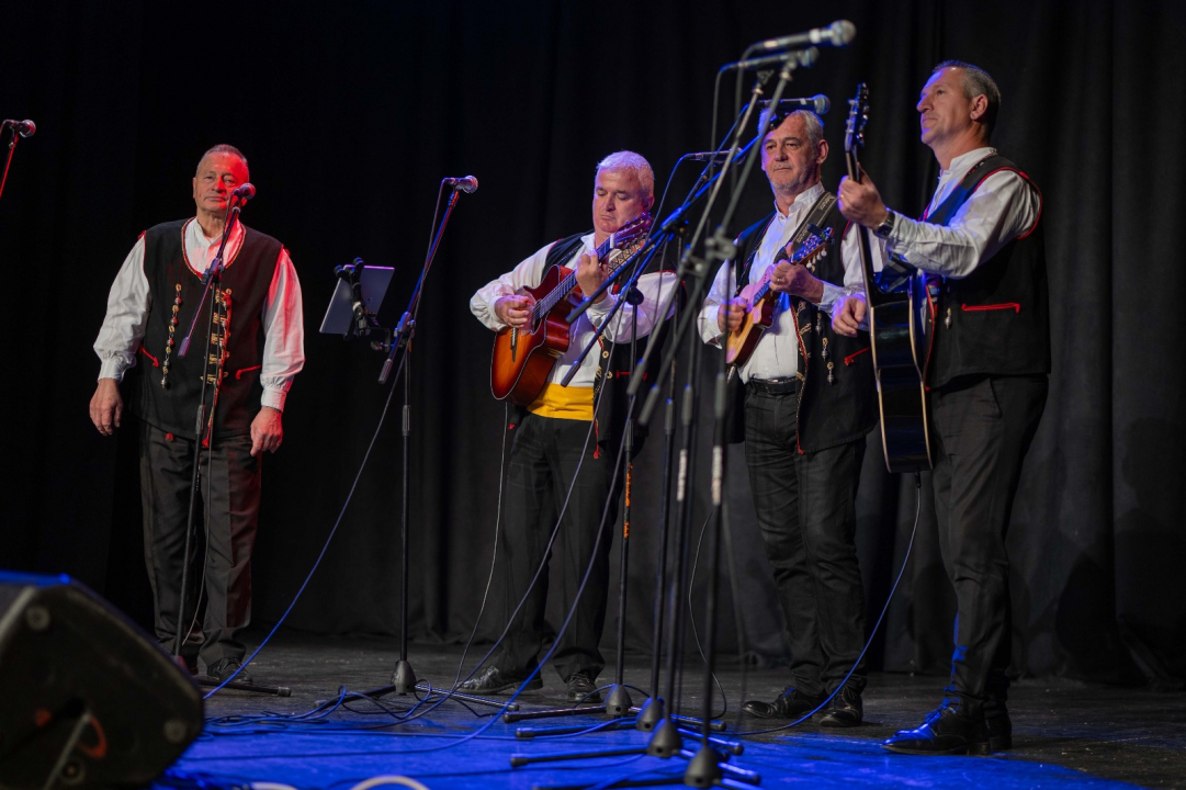 Humanitarni koncert u Vodicama: Klape zapjevale za malu Petru