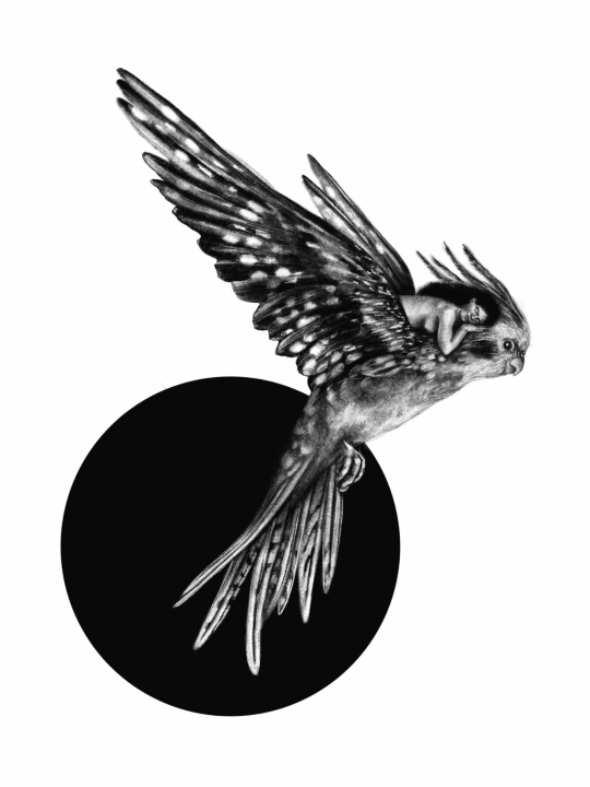 Izložba 'Arijadnina nit' Jadranke Lacković otvara se u Šibeniku za Dan žena