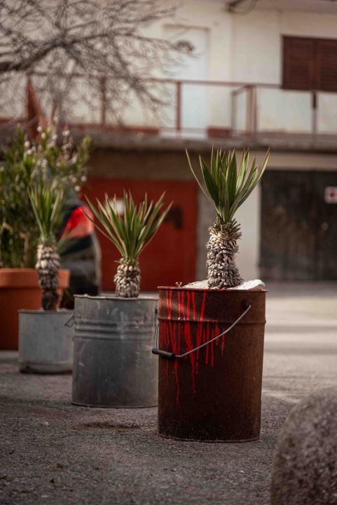 Mandalina - pomorska oaza Šibenika