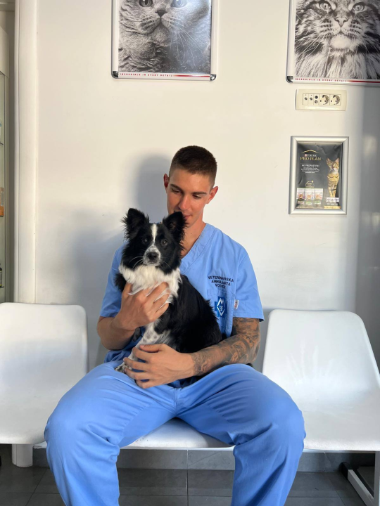 Anđelo Zorica oduvijek je znao da će biti veterinar