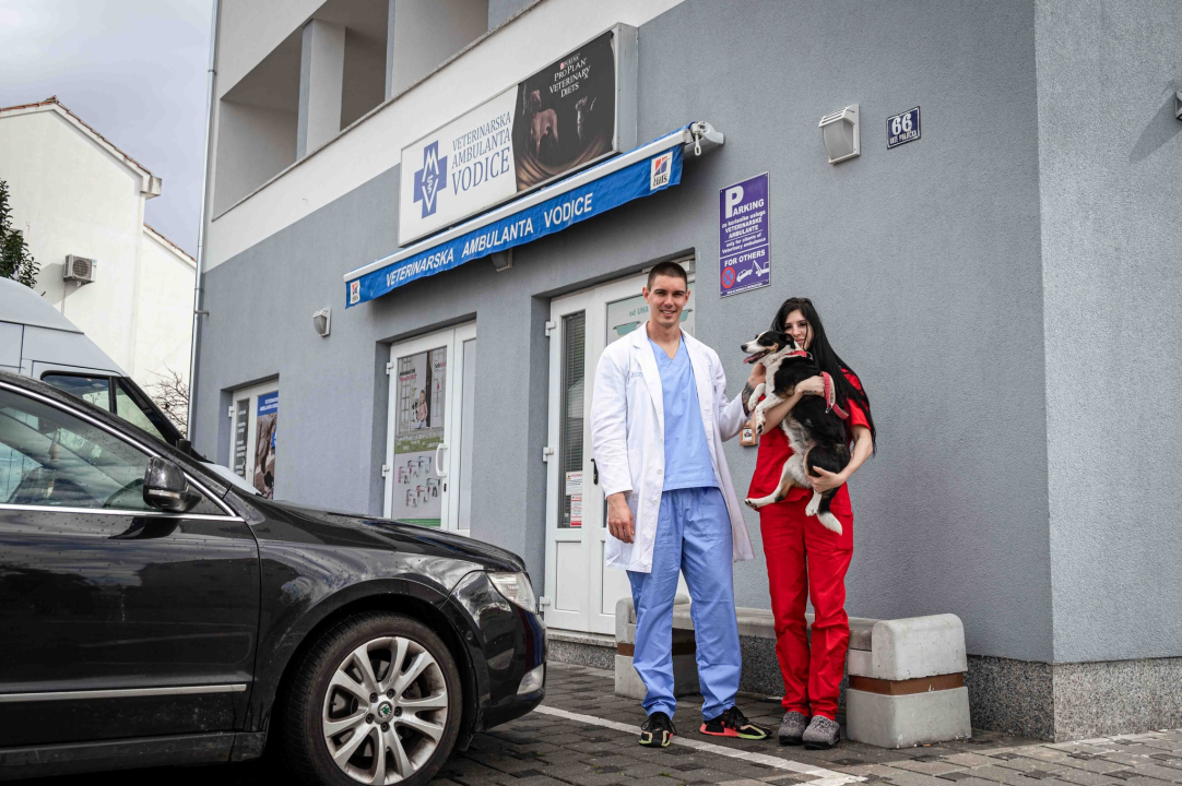 Anđelo Zorica oduvijek je znao da će biti veterinar