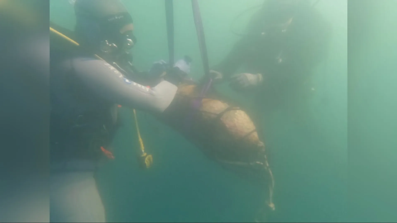 Policijski ronioci kod Batižela iz mora izvlače dvije avionske bombe