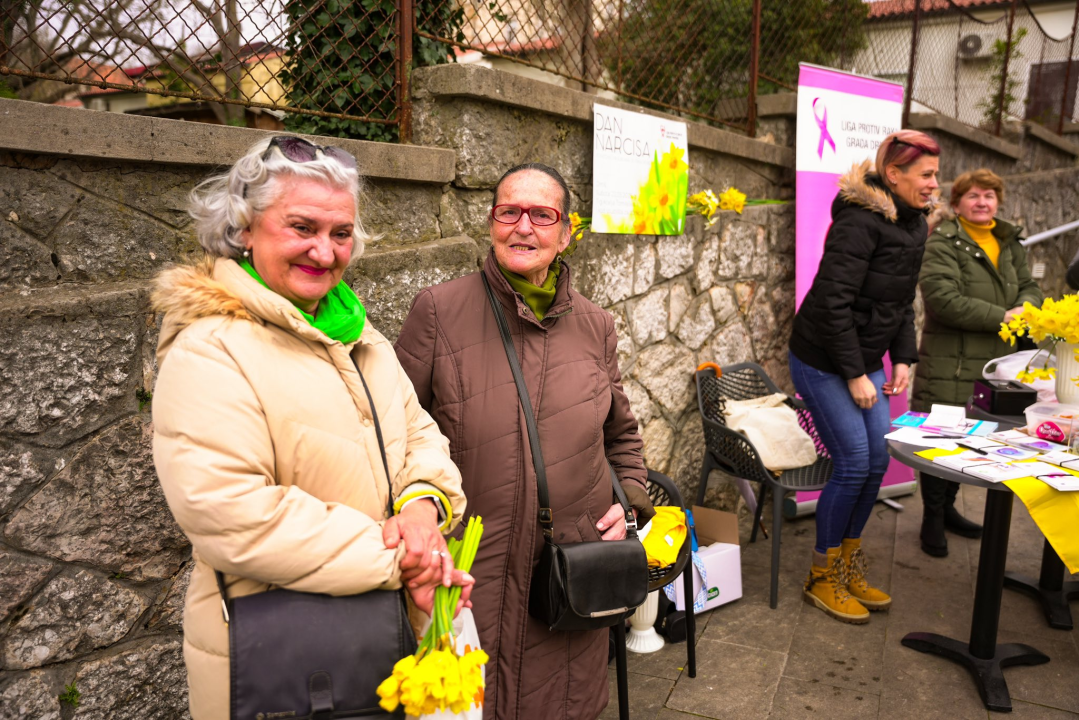 Dan narcisa obilježen u Drnišu i Oklaju