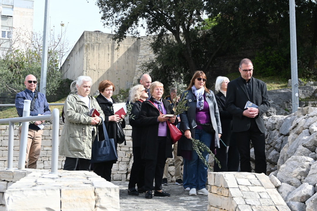 Cvjetnica na Šubićevcu