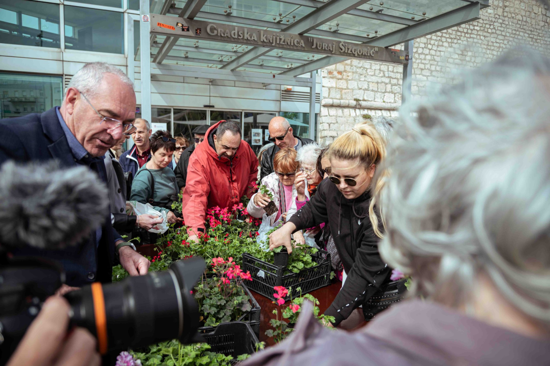 Održana tradicionalna akcija podjele sadnica u Šibeniku