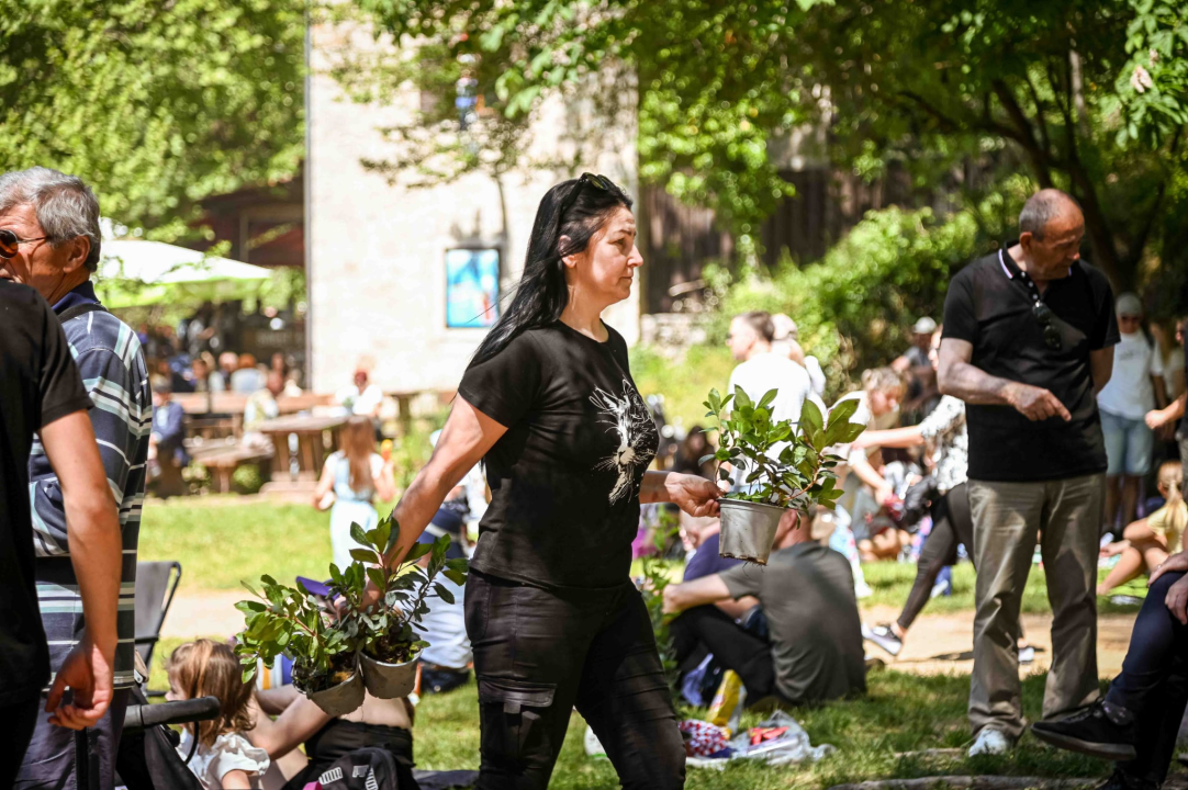 FOTO Podijeljeno 1500 sadnica lavande, mirte i lovora: Akcija ‘Rastemo zajedno’ treću godinu zaredom u NP Krka