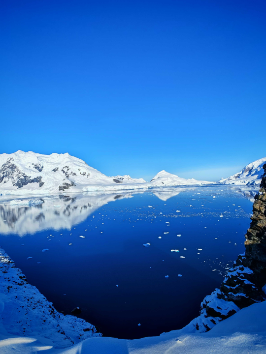 Veliki Gogo, prvi Šibenčanin na Antarktici: 'Skočio sam u more dva puta, a pingvini baš i ne mirišu najbolje'