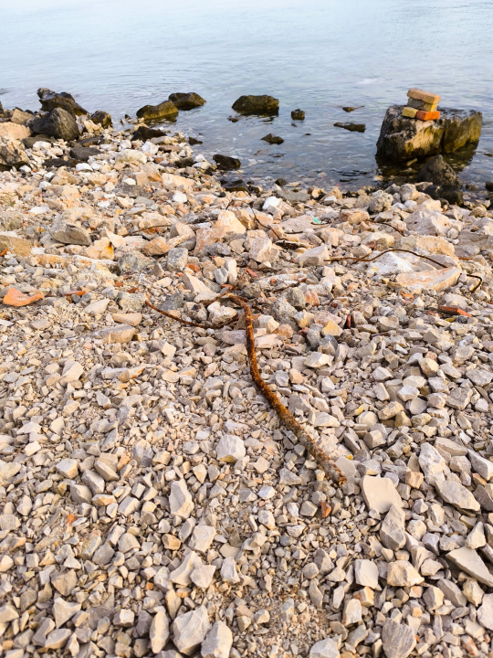 Plaža zatrpana šutom i zahrđalom armaturom u Zablaću