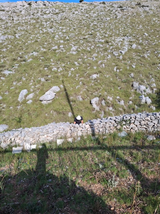 Vodički i tišnjanski vatrogasci u akciji obnove spomen parka u sjećanje na poginule heroje Kornatske tragedije