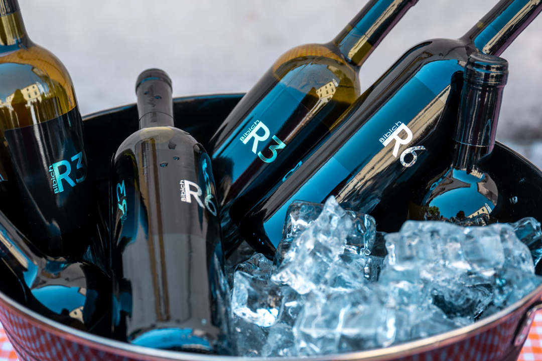 Bobi, vino i kolo: Skradinska marenda spojila tradiciju, glazbu i mirise domaće kuhinje