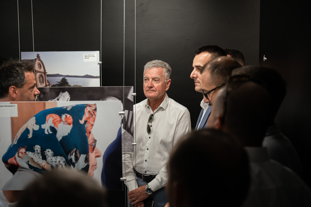 Otvorena Kuća dalmatinskog psa