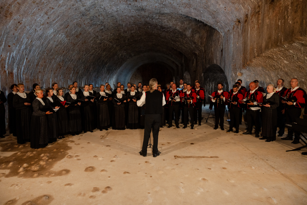 Na Tvrđavi sv. Nikole svečano obilježena obljetnica upisa na UNESCO-ov popis