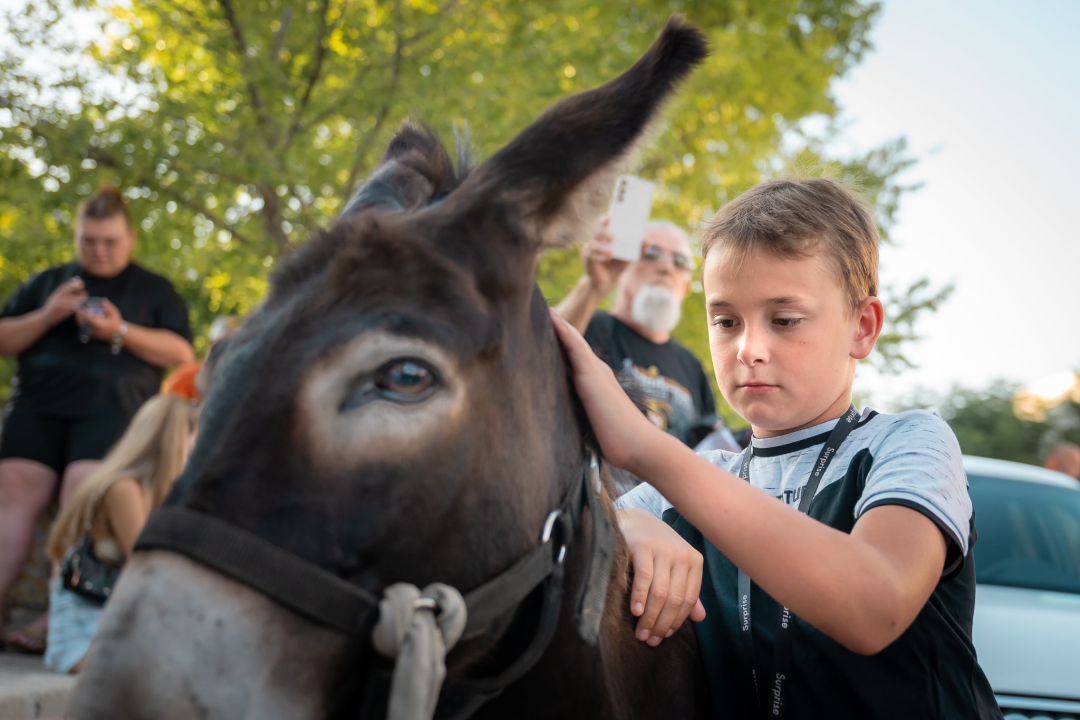 Održane 58. magareće trke u Tribunju
