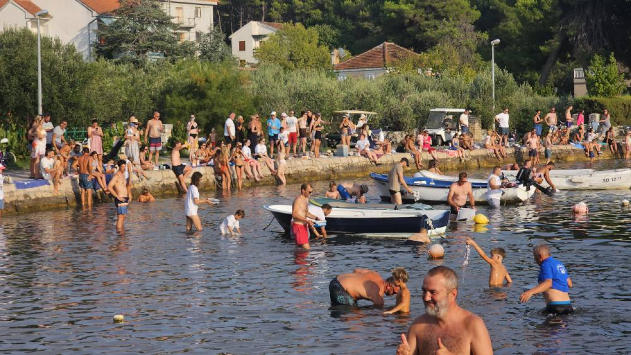 Lov na ciple na teću