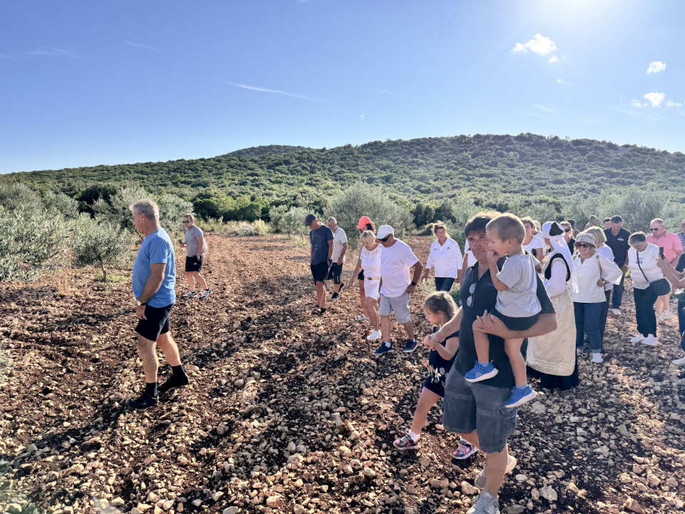 'Piknikom u masliniku' službeno završilo 'Lito u Pirovcu'