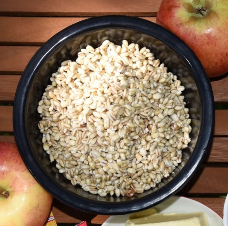 Zlato Kruševa i ponos Primoštena: Uljarske priče i spiza koja je othranila generacije